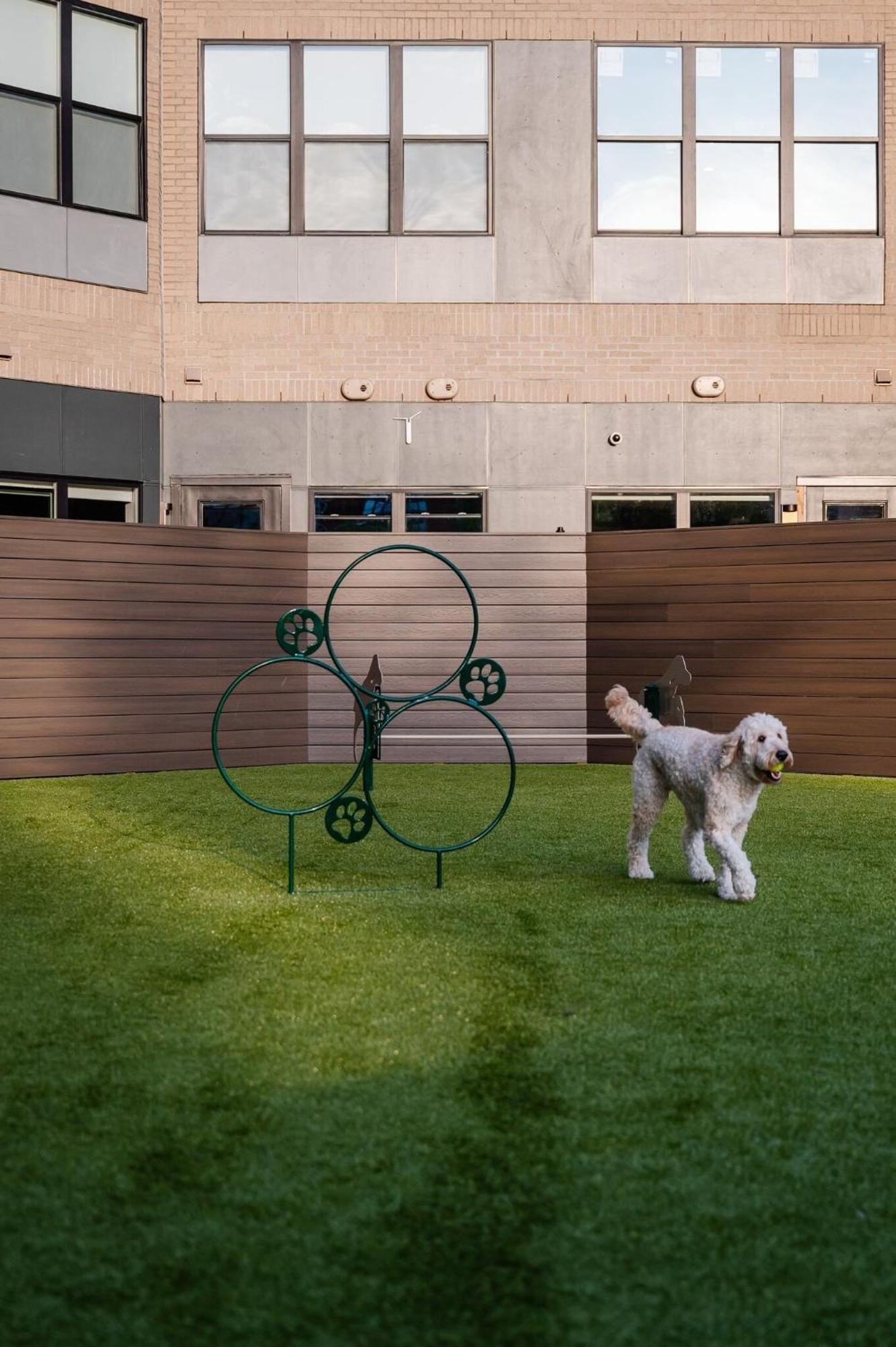 Luxury Apartments By Hyatus At Pierpont ニューヘイブン エクステリア 写真